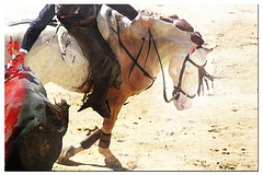 pas de danse