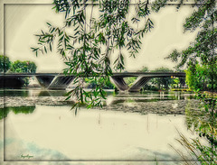 Oh Toulouse ♫♪♫*Pont St Michel  & le pont neuf (photo n°2)❤️