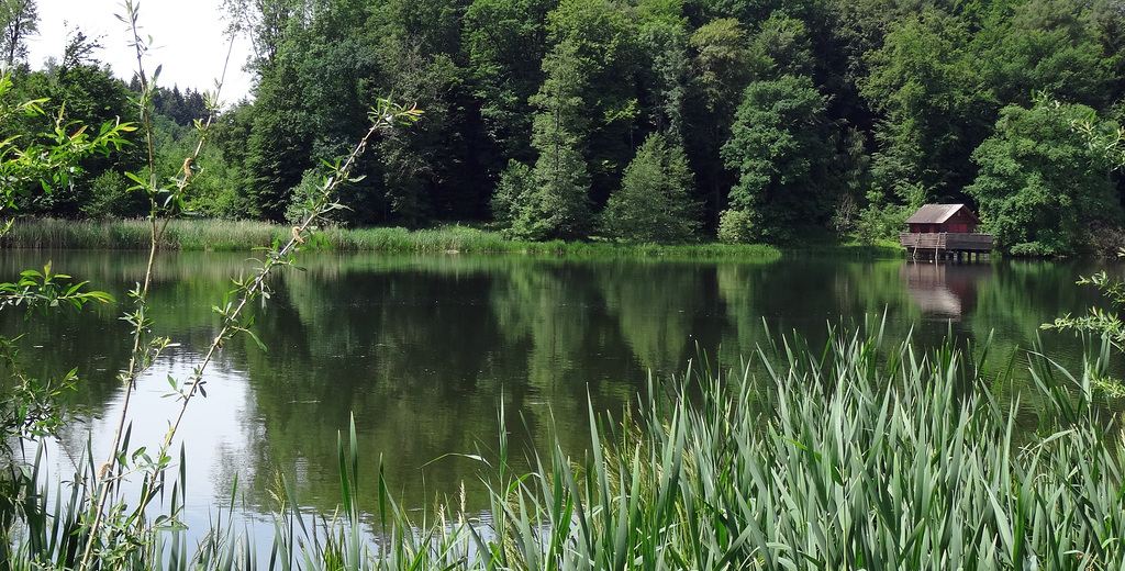 Lengwiler Grossweiher