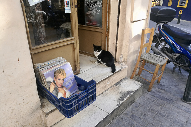 Athens 2020 – Cat at the antique shop