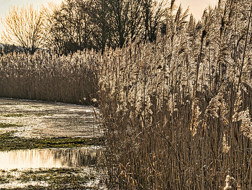 Am Wasserand (PiP)