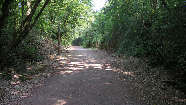 Wye Valley Greenway