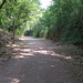 Wye Valley Greenway