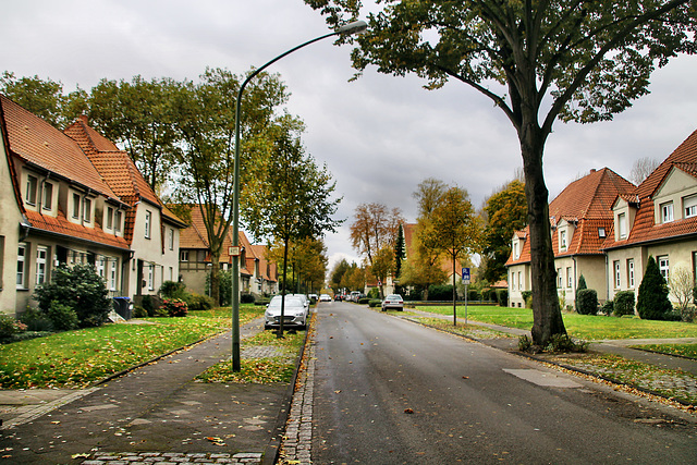 Welheimer Straße (Gartenstadt Welheim, Bottrop) / 20.10.2021