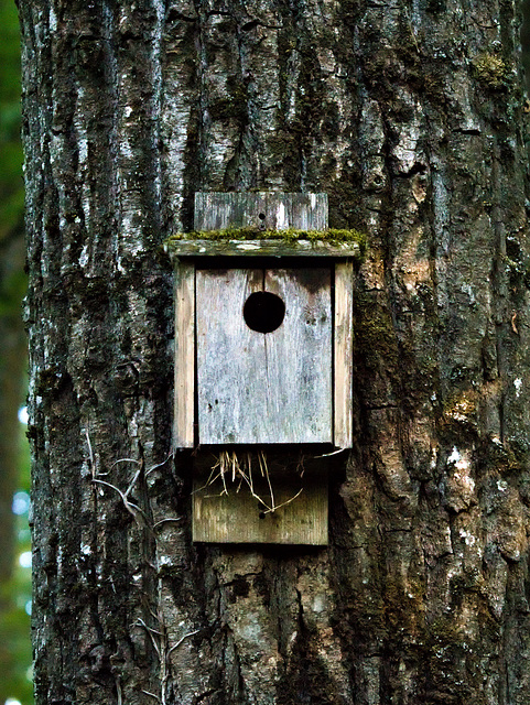 A birdhouse