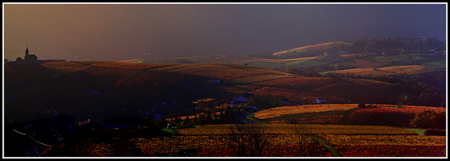 Paysage du Beaujolais Sud