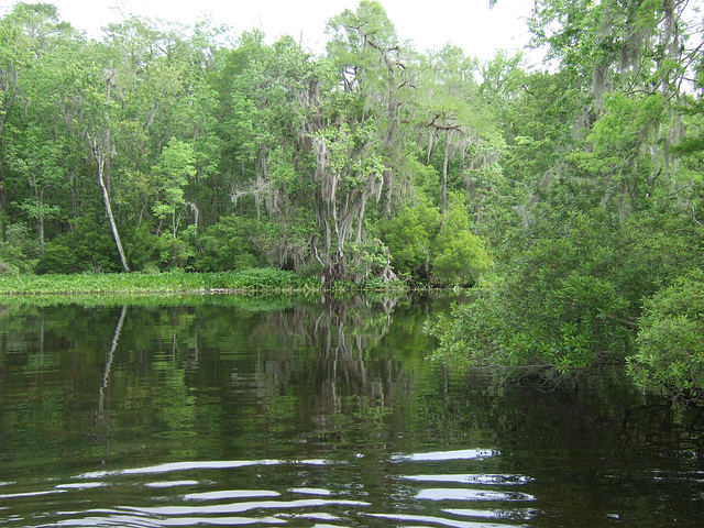 Nesting Island