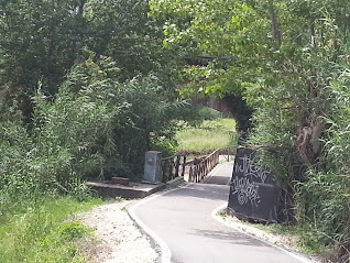 pista ciclabile lungo Foglia