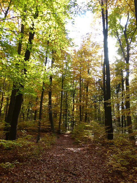 Weltenburger Höhenweg III