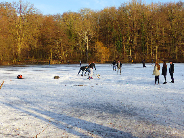 Wintersport  -  PIP:Herbstbild