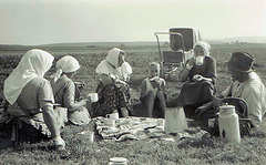 Brotzeit bei der Heuernte - Tea break during harvesting