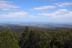View From Mount Lofty