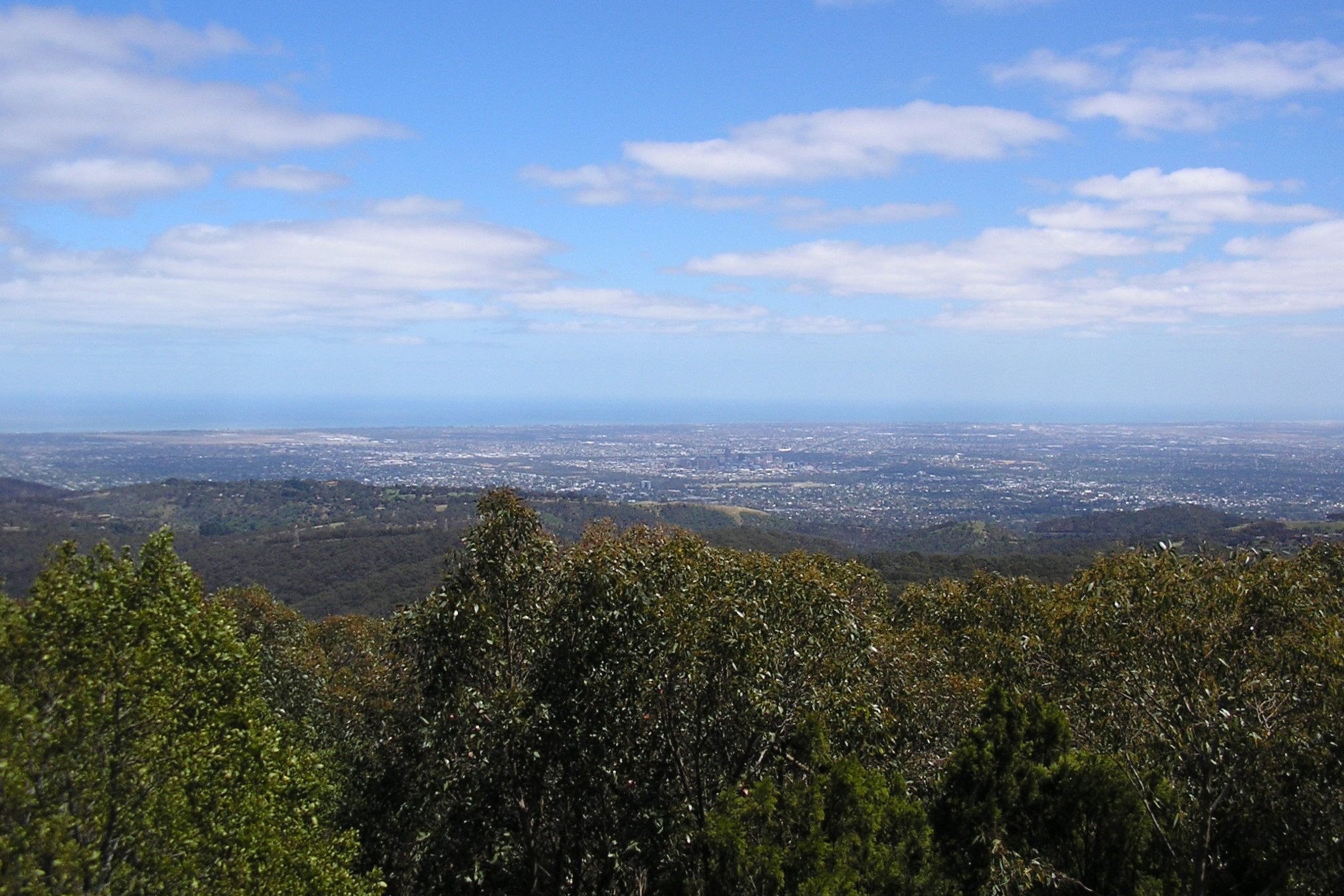 View From Mount Lofty