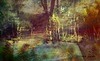 A Secret Summer Place