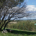 a bench with a wide view