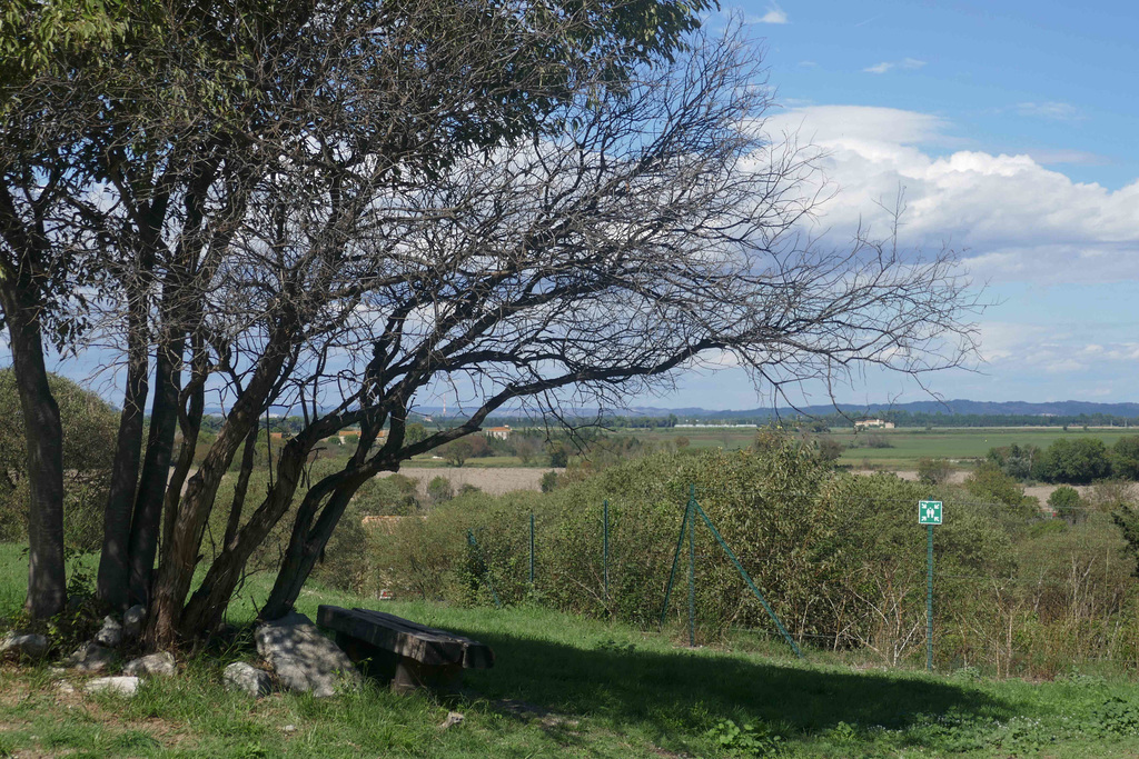 a bench with a wide view