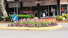 Outside  Dress Shop.