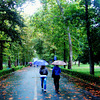 Rainy day in campus