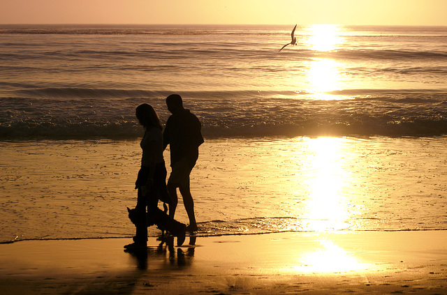 beach walk