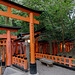 Sanctuaire Fushimi Inari-taisha (伏見稲荷大社) (5)