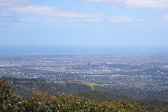 View From Mount Lofty