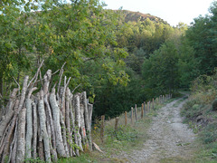 20180910 -15 Randos solo Prévenchères (Lozère-Villefort) (473) al