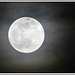 Ce soir, la lune est belle..................La super lune de février :Lune de Neige