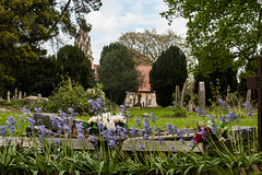 Cemetery Chapel, The Down