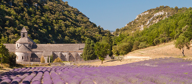 Abbaye Notre-Dame de Sénanque