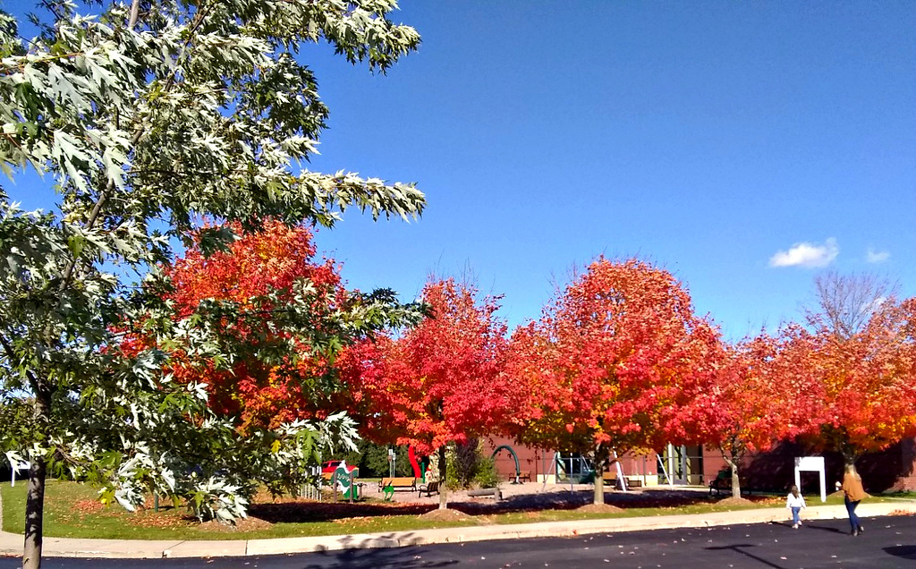 Autumn in Michigan