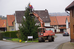 Die rustikale Art, den Baum zu schmücken