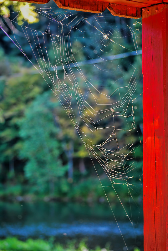 Waking up to magic in the Catskill Mountains