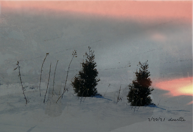 February sunset.