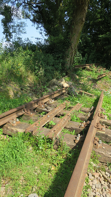 Railway remains