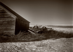 The Old Farmsted