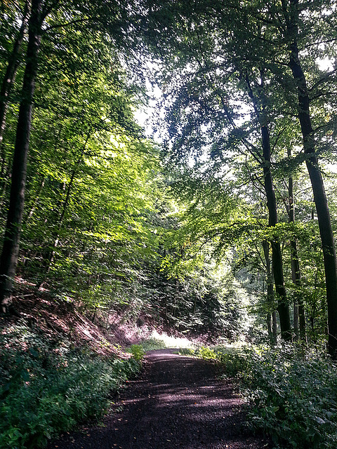 20140903 033Hw [D~SHG] Wesergebirge, Rinteln