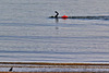 EOS 60D Unknown 09 28 41 2538 Swimmer dpp hdr