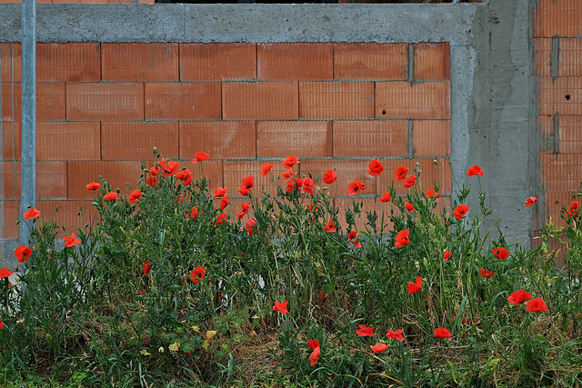 Wandschmuck