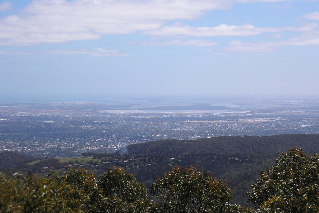 View From Mount Lofty