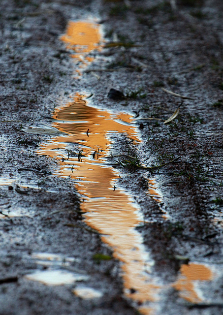 Mare de l'automne.....