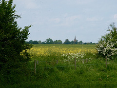 Church of All Saints at Hoby