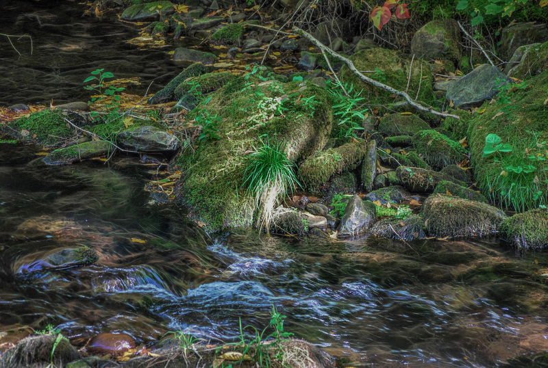 Stream in the Catskill Mountains