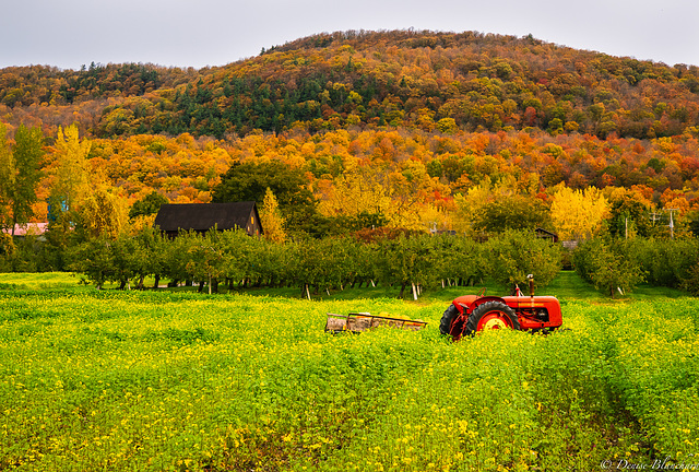 2020octobre15Le tracteur rouge