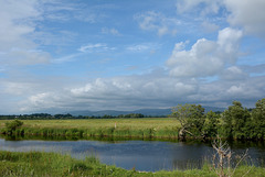 Leeming Beck near Hornby