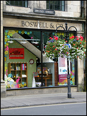 Boswell in bloom