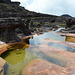 Venezuela, Water Pool at the Surface of the Tepui of Roraima