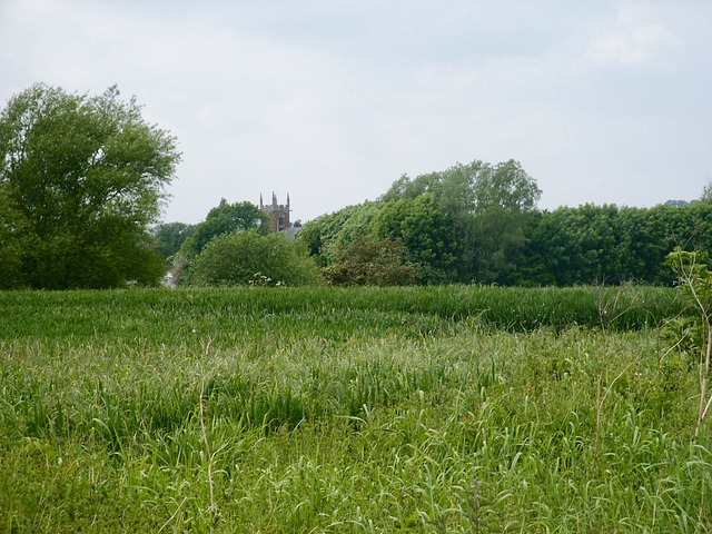 Looking back to the Church of St Michael & All Angels, Rearsby