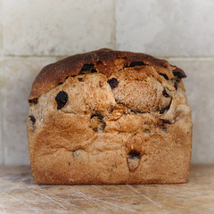 Fruit Bread 1