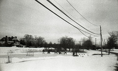 Hockey Game