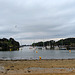 Presquîle de Conleau (Morbihan) France